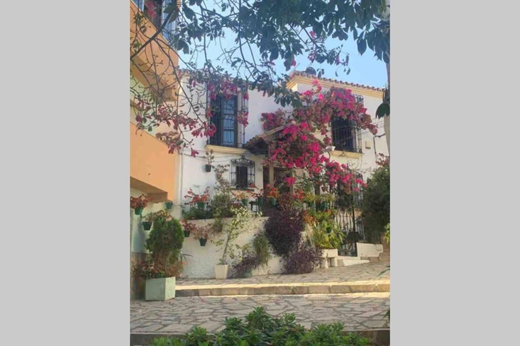 Appartement Palmeras Puerto Paraiso Estepona Kültér fotó