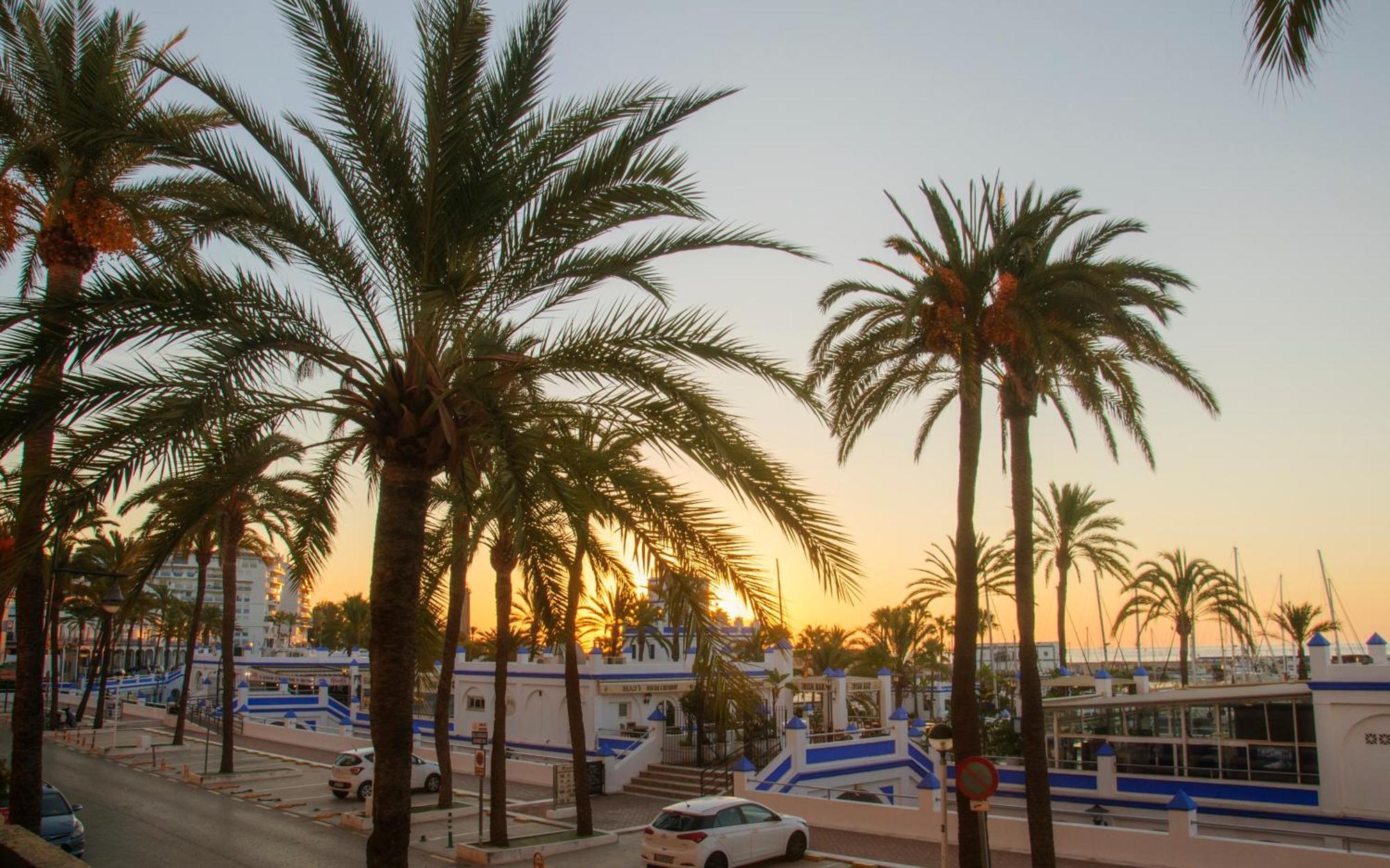 Appartement Palmeras Puerto Paraiso Estepona Kültér fotó